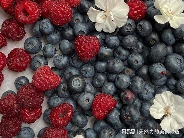 Technologies for blueberry seedling cultivation