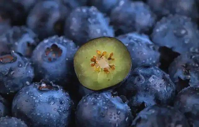 Technologies for blueberry seedling cultivation