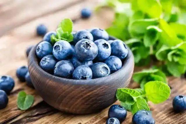 Technologies for blueberry seedling cultivation