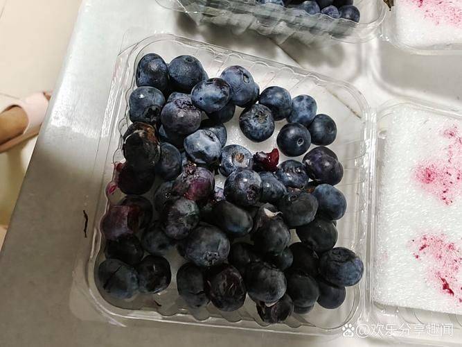 Technologies for blueberry seedling cultivation