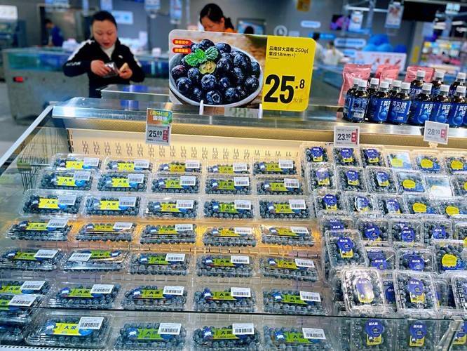 Technologies for blueberry seedling cultivation