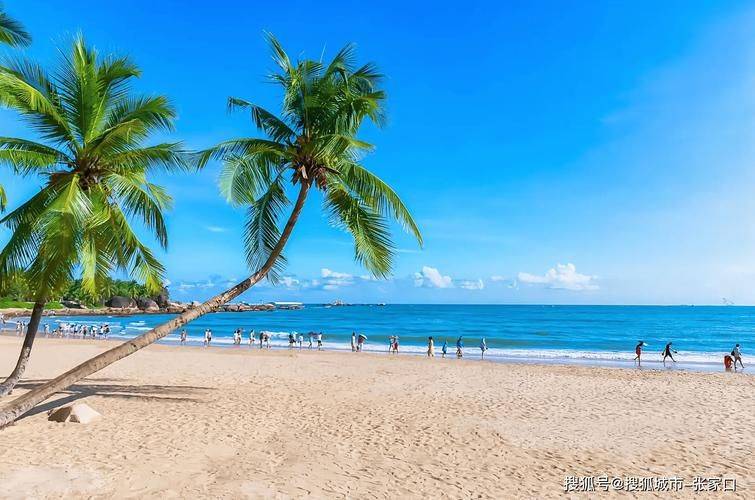Chinese tourism website ranked 2026