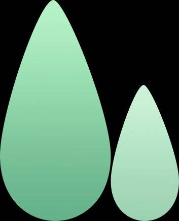 Technology for vegetable growing in the southern sheds