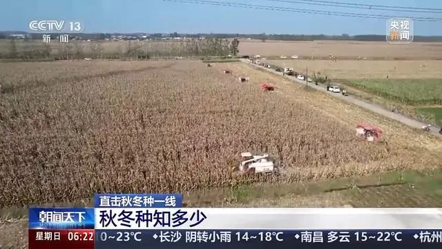 Winter wheat planting techniques
