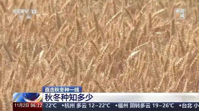 Winter wheat planting techniques