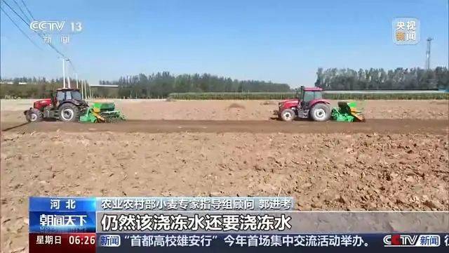 Winter wheat planting techniques