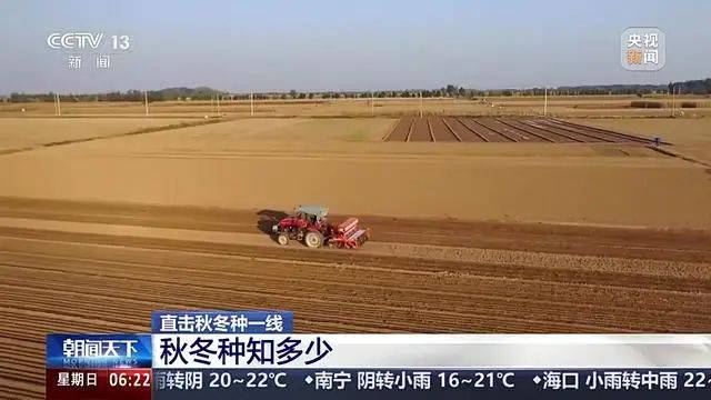 Winter wheat planting techniques