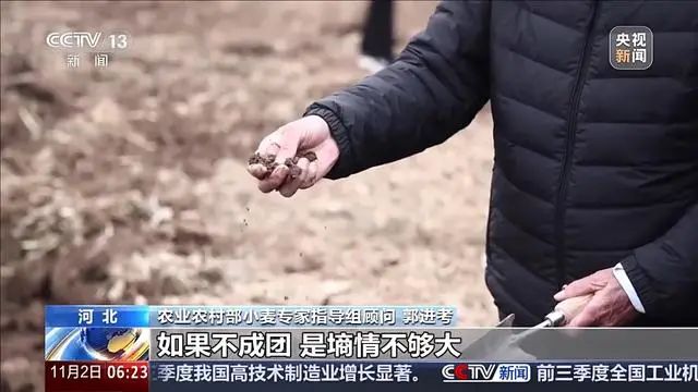 Winter wheat planting techniques