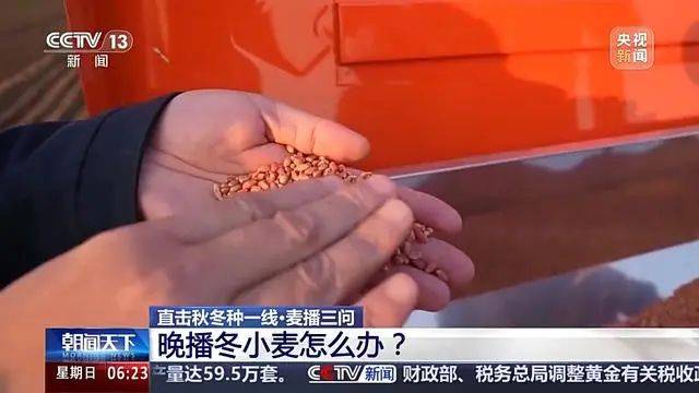 Winter wheat planting techniques
