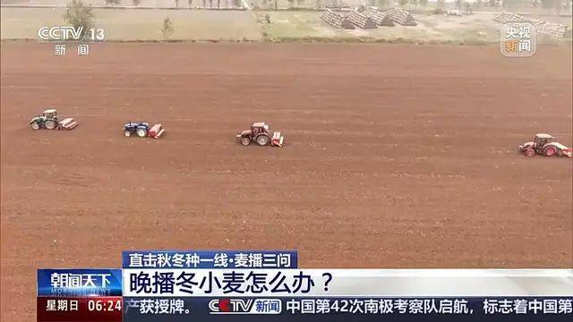 Winter wheat planting techniques