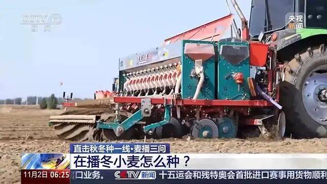 Winter wheat planting techniques