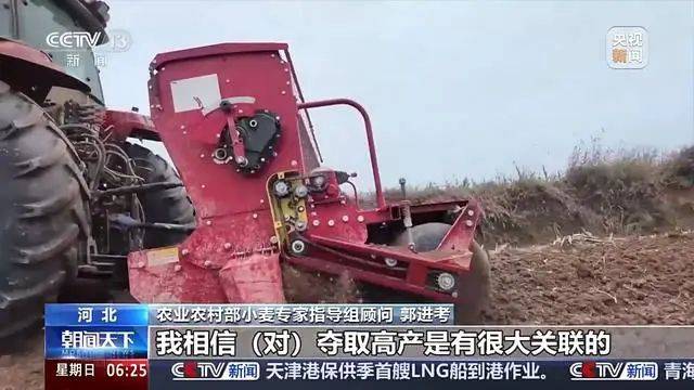 Winter wheat planting techniques