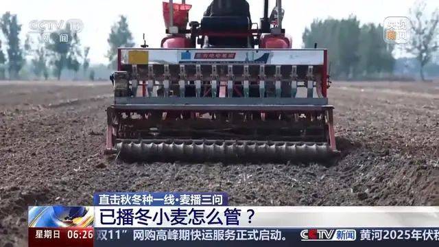 Winter wheat planting techniques