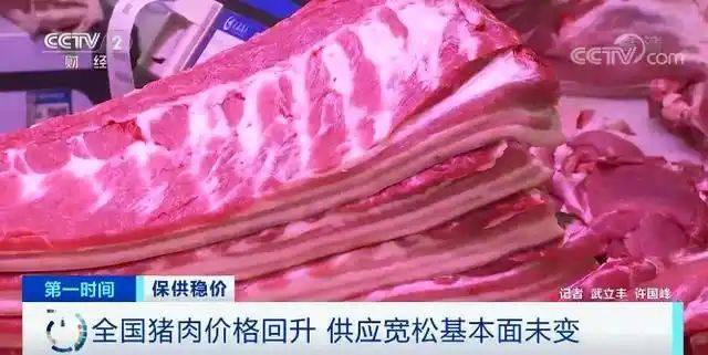 How much for an intestine suit