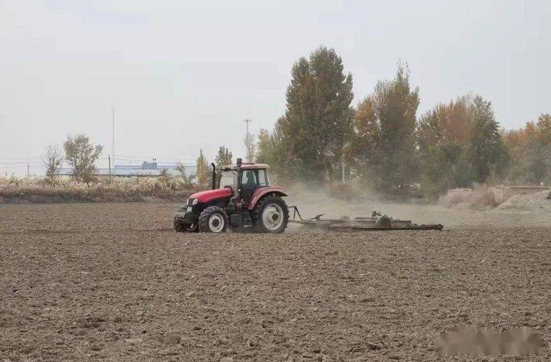 Winter wheat planting techniques