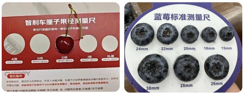 Technologies for blueberry seedling cultivation