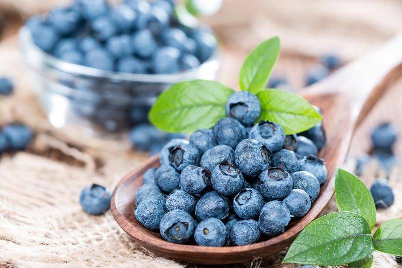 Technologies for blueberry seedling cultivation