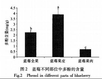 Technologies for blueberry seedling cultivation