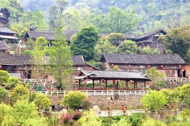 温州网优化seo公司