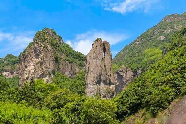 温州网优化seo公司