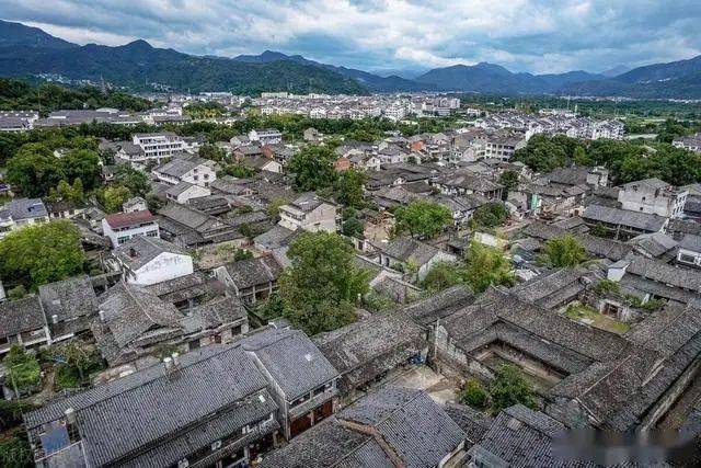 温州网优化seo公司