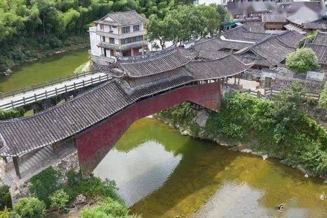温州网优化seo公司