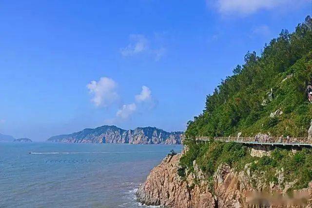 温州网优化seo公司