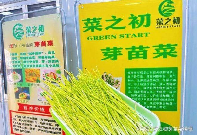 The method of planting sprouts and pictures