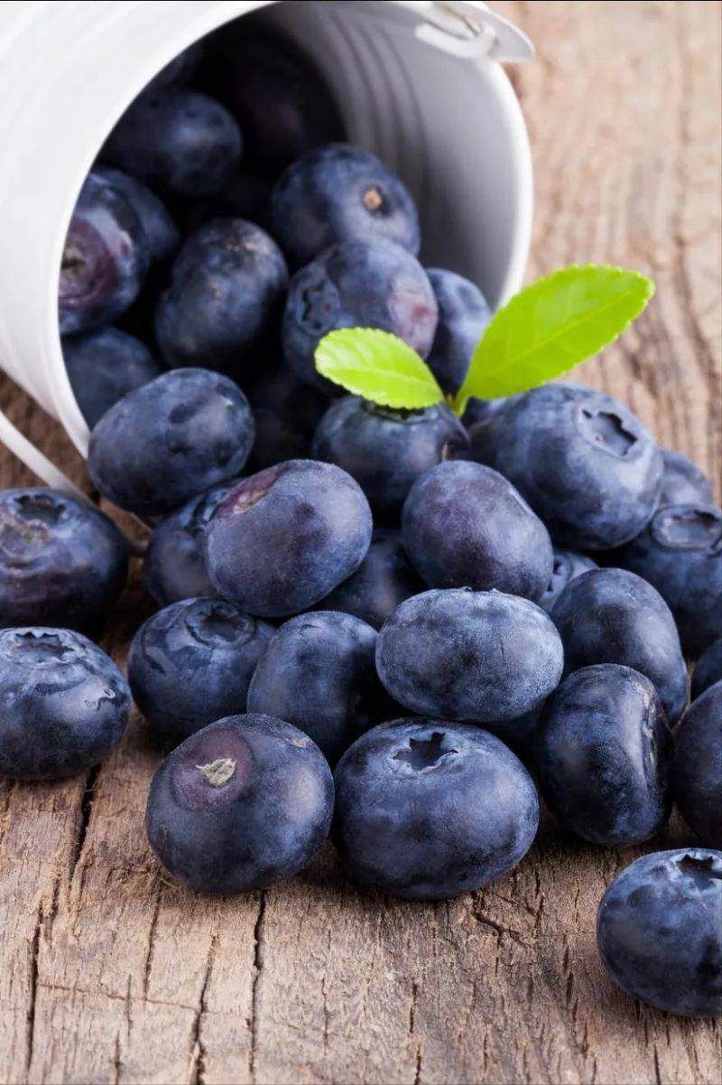 Technologies for blueberry seedling cultivation