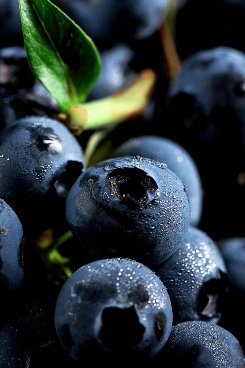 Technologies for blueberry seedling cultivation