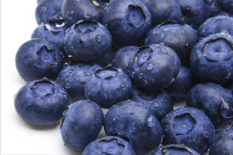 Technologies for blueberry seedling cultivation