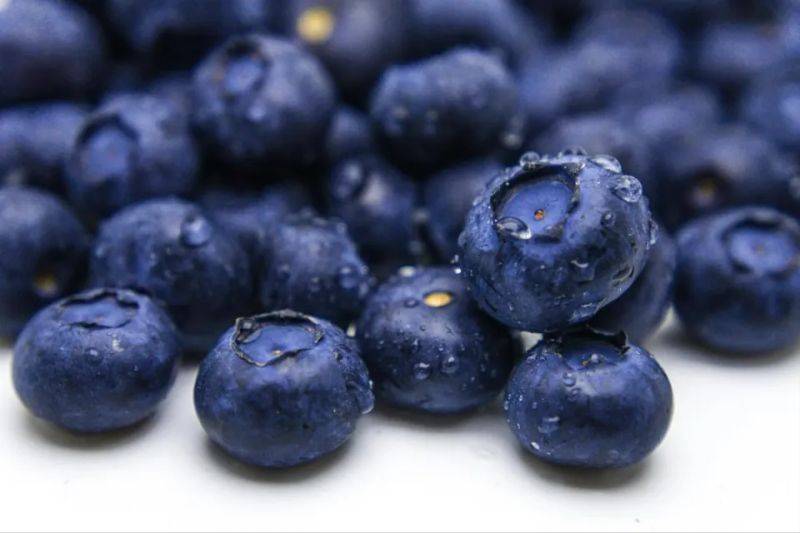 Technologies for blueberry seedling cultivation