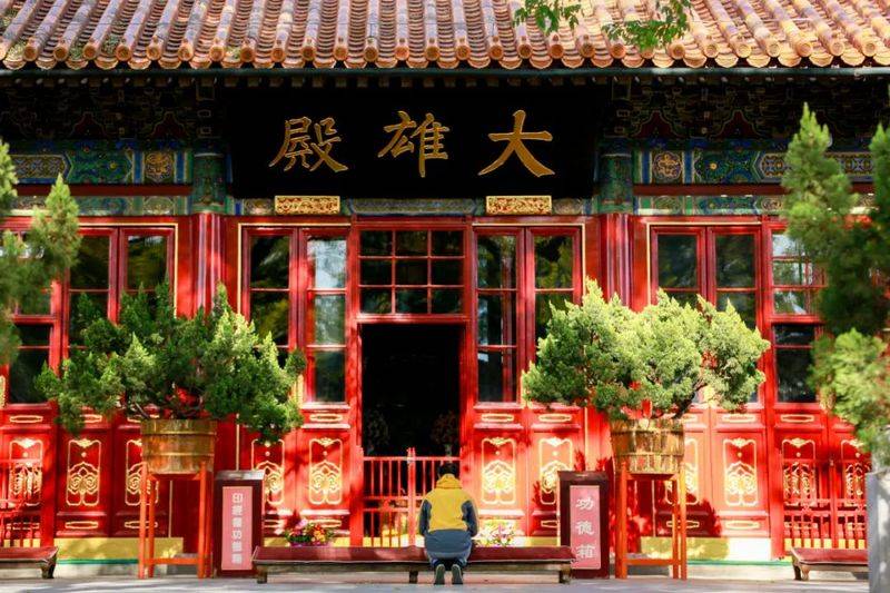 How much is jinzhou