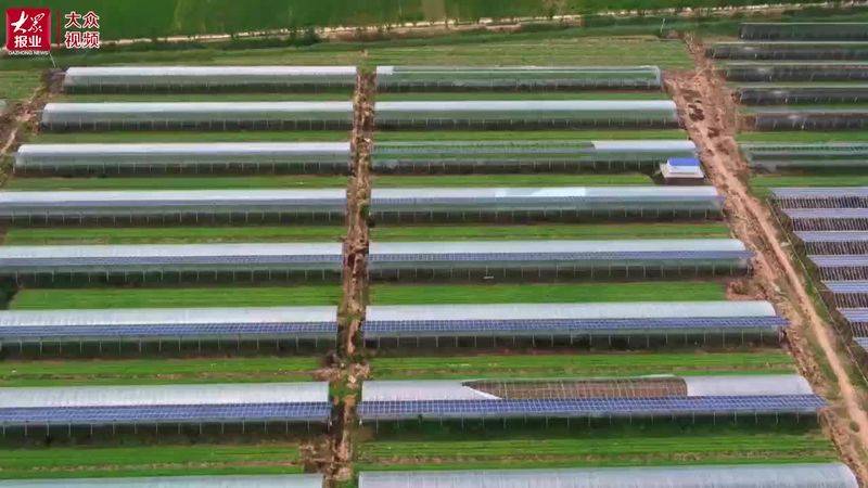 A video of the technology of growing large sheds