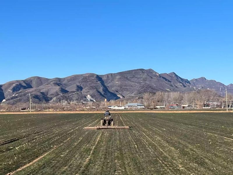 大棚种植技术视频