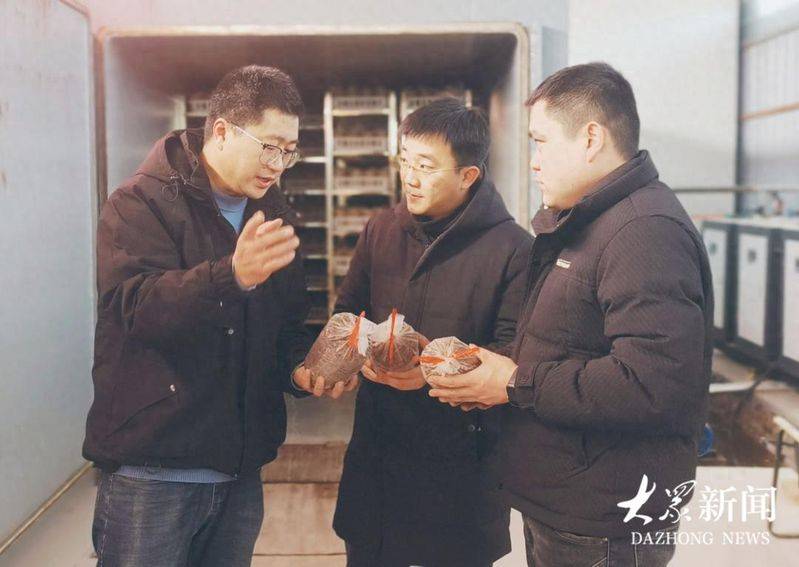 Technology for the cultivation of oral mushrooms