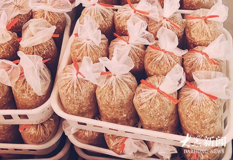 Technology for the cultivation of oral mushrooms
