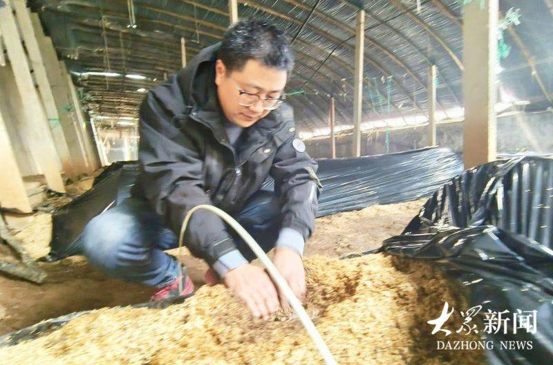 Technology for the cultivation of oral mushrooms