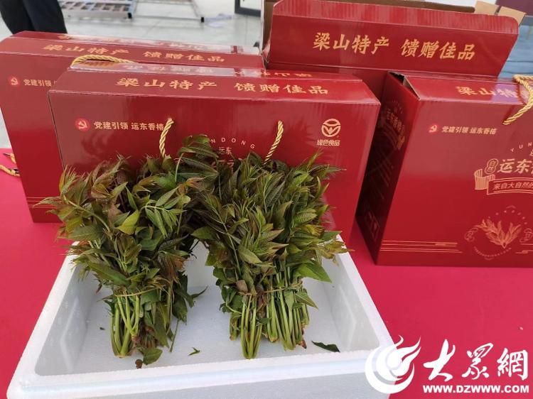 红油香椿的种植技术