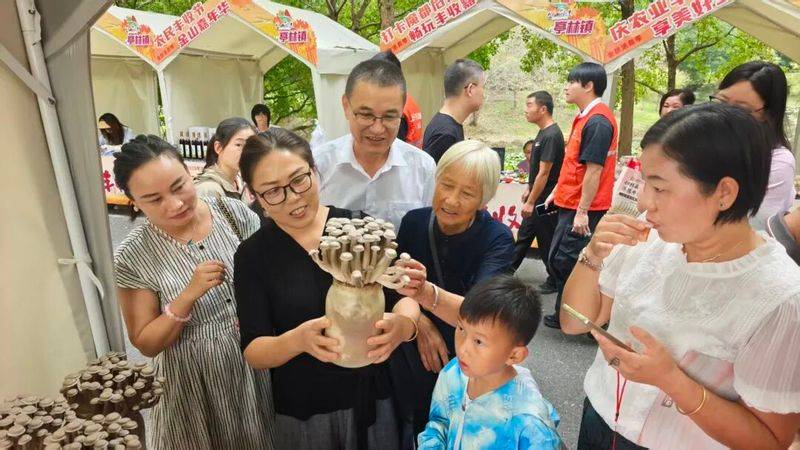 Technology for the cultivation of oral mushrooms