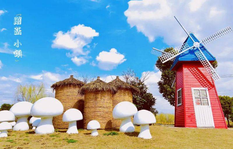 Technology for the cultivation of oral mushrooms