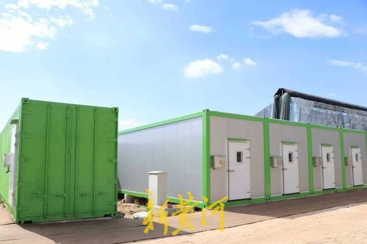 Technology for the cultivation of oral mushrooms