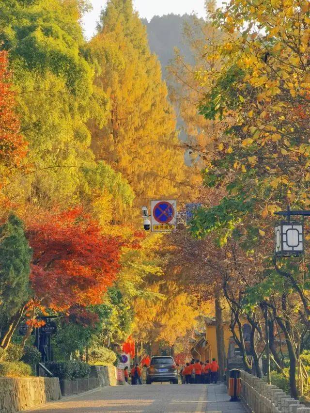 How much is jinzhou