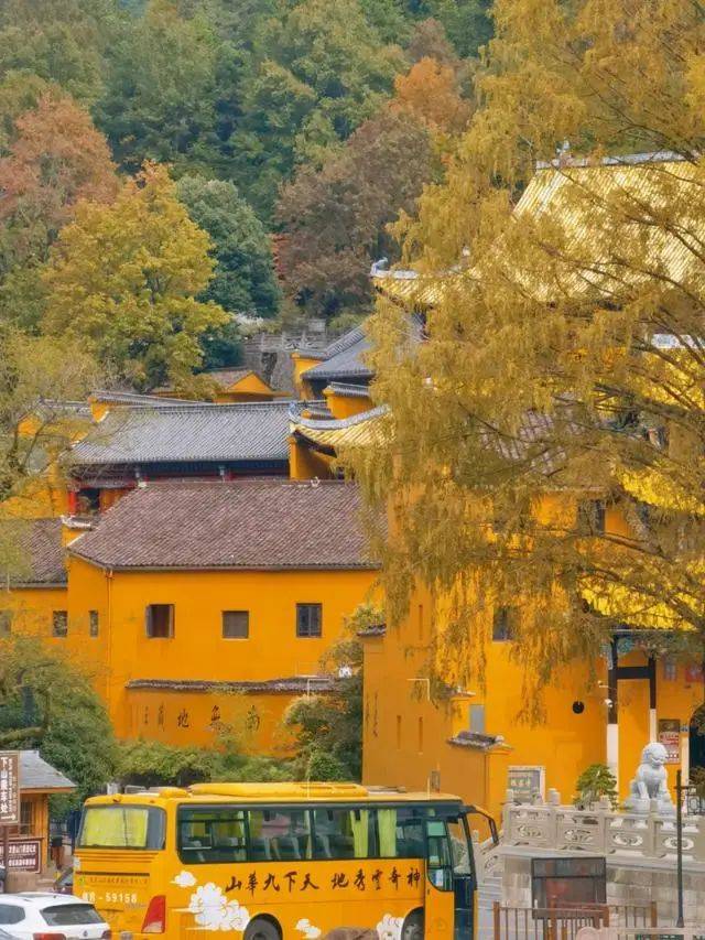 How much is jinzhou