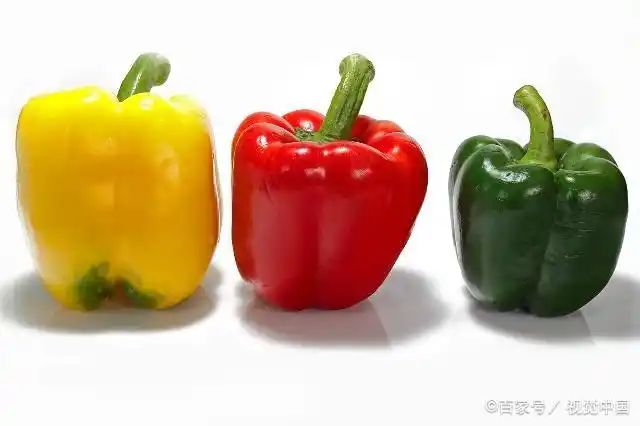 辣椒种植技术视频播放
