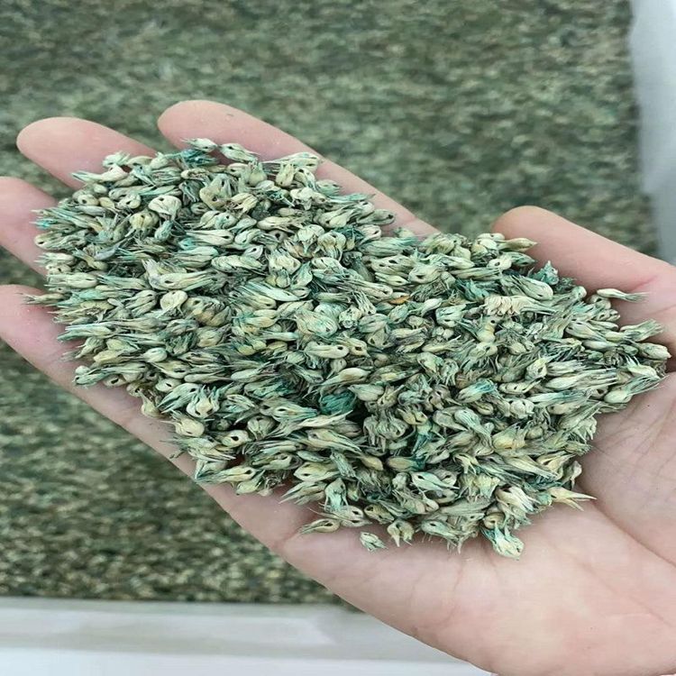 草莓籽怎么种植方法