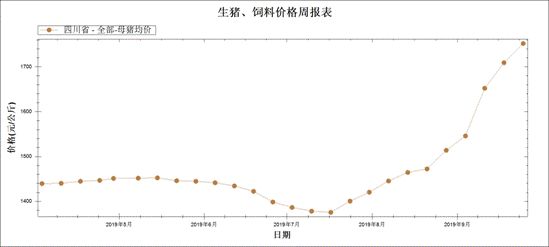一头母猪多少钱