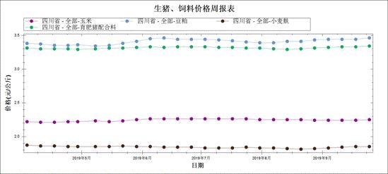 一头母猪多少钱