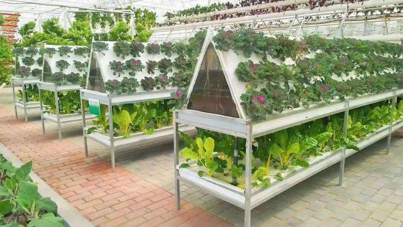 Agricultural technology and farming techniques