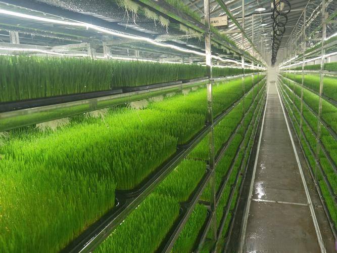 Agricultural technology and farming techniques